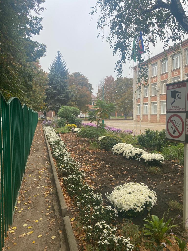 Фотография школы.
